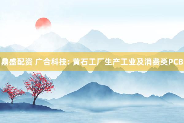 鼎盛配资 广合科技: 黄石工厂生产工业及消费类PCB