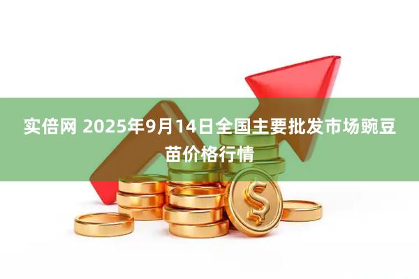 实倍网 2025年9月14日全国主要批发市场豌豆苗价格行情