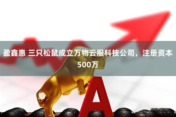 盈鑫惠 三只松鼠成立万物云服科技公司，注册资本500万