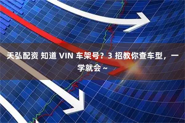 天弘配资 知道 VIN 车架号？3 招教你查车型，一学就会～