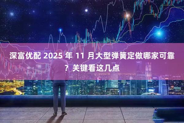 深富优配 2025 年 11 月大型弹簧定做哪家可靠？关键看这几点