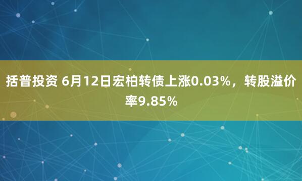 括普投资 6月12日宏柏转债上涨0.03%，转股溢价率9.85%
